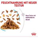 Royal Canin Sensory Feel in Gelee 12x85g - 1.020 g