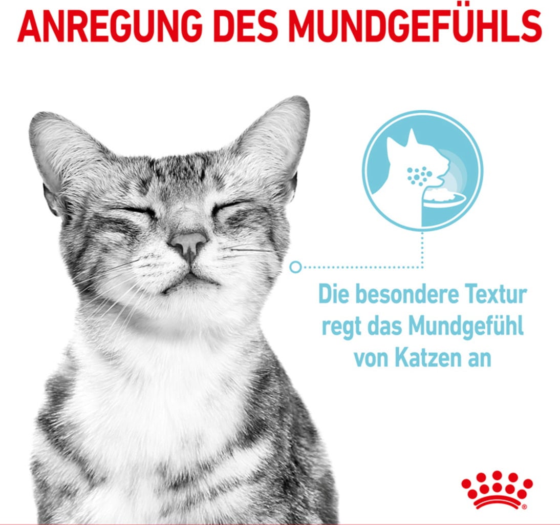 Royal Canin Sensory Feel in Gelee 12x85g - 1.020 g