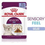 ROYAL CANIN SENSORY™ FEEL in Gelatina 12x85 g
