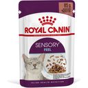 Royal Canin Sensory Feel in Soße 12x85g - 1.020 g