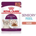 Royal Canin Sensory Feel in Soße 12x85g - 1.020 g
