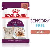 Royal Canin Sensory Feel in Soße 12x85g