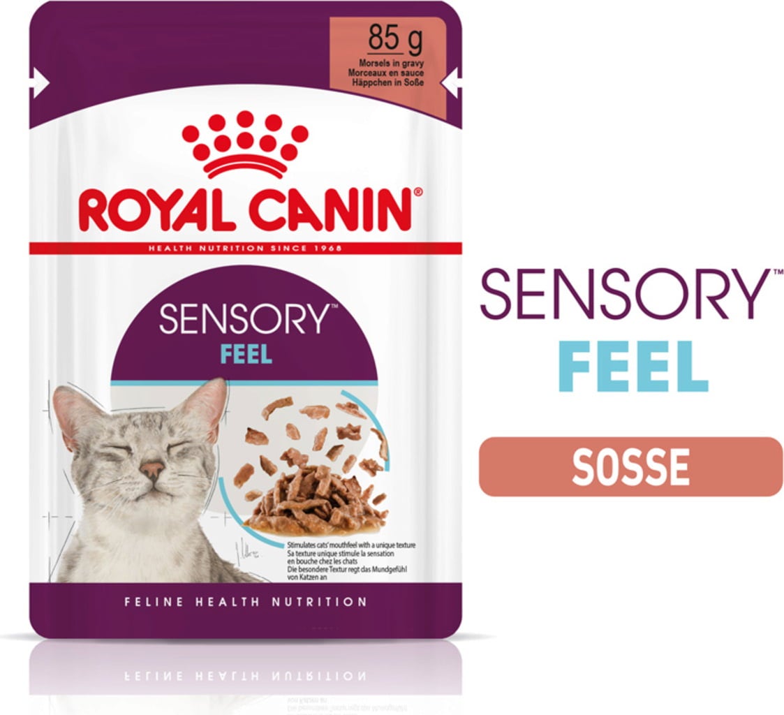 Royal Canin Sensory Feel in Soße 12x85g - 1.020 g