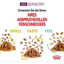 Royal Canin Sensory Smell in Gelee 12x85g - 1.020 g
