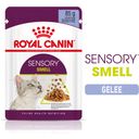 Mačja hrana Sensory Smell v želeju, 12 x 85 g - 1.020 g
