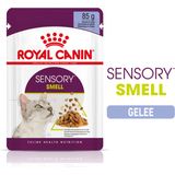 Mačja hrana Sensory Smell v želeju, 12 x 85 g