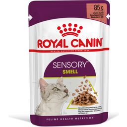 Royal Canin Sensory Smell in Soße 12x85g - 1.020 g