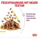 Royal Canin Sensory Smell in Soße 12x85g - 1.020 g