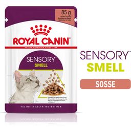 Royal Canin Sensory Smell in Soße 12x85g - 1.020 g