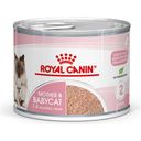 Royal Canin Mother & Babycat Mousse 12x195 g - 2.340 g