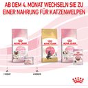 ROYAL CANIN Mother & Babycat Mousse 12x195 g - 2.340 g