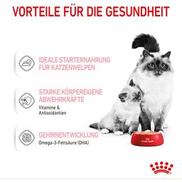 Royal Canin Mother & Babycat Mousse 12x195 g - 2.340 g