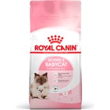 Royal Canin Mačja hrana Mother & Babycat