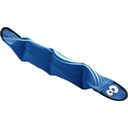 Pasja igrača Nylon Aqua Mindelo, modra, 52 cm