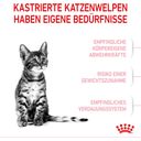 Royal Canin Kitten Sterilised - 2 kg