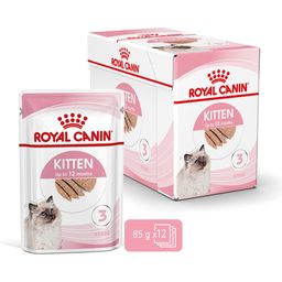 Royal Canin Kitten Nassfutter als Mousse 12x85 g - 1.020 g
