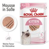 Royal Canin Kitten Nassfutter als Mousse 12x85 g