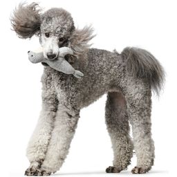 Hundespielzeug Skagen Seerobbe 25 cm, Polyester grau - 1 Stk