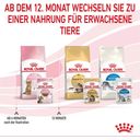 Mačja hrana Kitten Sterilised v omaki, 12 x 85 g - 1.020 g