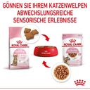 Royal Canin Kitten Sterilised in Soße 12x85g - 1.020 g