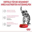 Royal Canin Kitten Sterilised in Soße 12x85g - 1.020 g