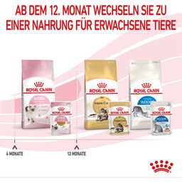 ROYAL CANIN Kitten in Gelatina 12x85 g - 1.020 g