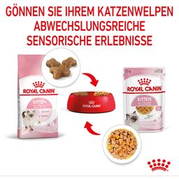 ROYAL CANIN Kitten in Gelatina 12x85 g - 1.020 g