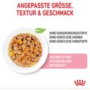 Royal Canin Kitten Nassfutter in Gelee 12x85 g - 1.020 g