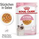 Royal Canin Kitten Nassfutter in Gelee 12x85 g - 1.020 g