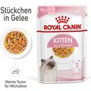 ROYAL CANIN Kitten in Gelatina 12x85 g - 1.020 g