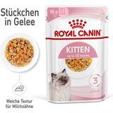 Royal Canin Kitten Nassfutter in Gelee 12x85 g