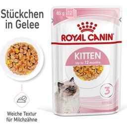 Royal Canin Kitten Nassfutter in Gelee 12x85 g - 1.020 g