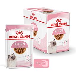 Royal Canin Kitten Nassfutter in Sauce 12x85 g - 1.020 g