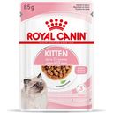 Royal Canin Kitten Nassfutter in Sauce 12x85 g - 1.020 g