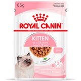 Royal Canin Kitten nedvestáp szószban, 12x85 g