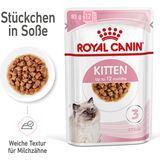 Royal Canin Kitten Nassfutter in Sauce 12x85 g