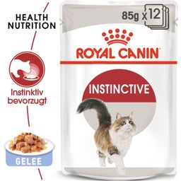 Royal Canin Instinctive in Gelee 12x85 g - 1.020 g