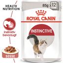 ROYAL CANIN Instinctive in Salsa 12x85 g - 1.020 g