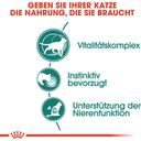 Royal Canin Instinctive 7+ in Soße 12x85 g - 1.020 g