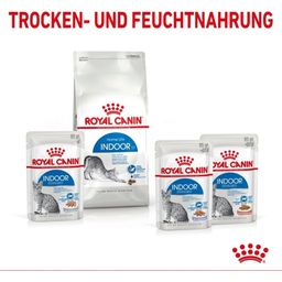 Royal Canin Indoor in Gelee 12x85 g - 1.020 g