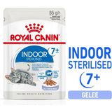ROYAL CANIN Indoor 7+ Sterilized in Gelatina 12x85 g