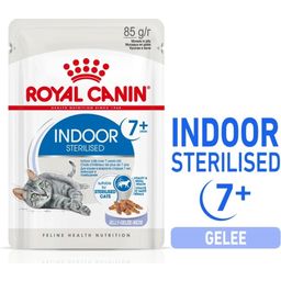 Royal Canin Indoor 7+ in Gelee 12x85 g - 1.020 g