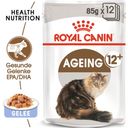 Royal Canin Ageing 12+ in Gelee 12x85 g - 1.020 g