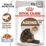 Royal Canin Ageing 12+ in Gelee 12x85 g
