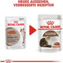 ROYAL CANIN Ageing 12+ in Salsa 12x85 g - 1.020 g