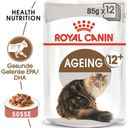 Royal Canin Ageing 12+ in Soße 12x85 g - 1.020 g