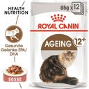 ROYAL CANIN Ageing 12+ in Salsa 12x85 g - 1.020 g