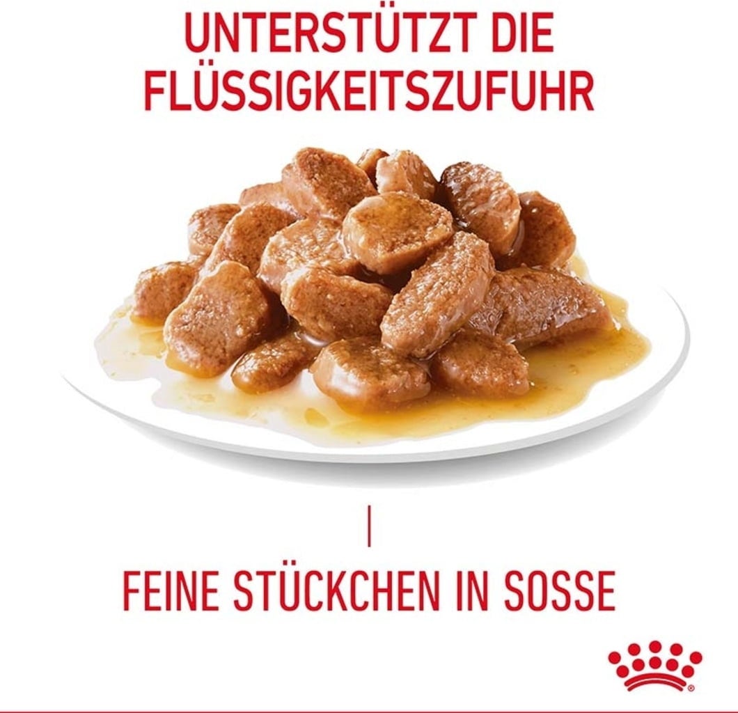 Royal Canin Digestive Care in Soße 12x85g - 1.020 g