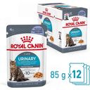 Royal Canin Urinary Care in Gelee 12x85g - 1.020 g