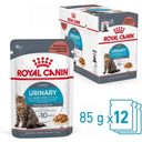 Royal Canin Urinary Care in Soße 12x85g - 1.020 g